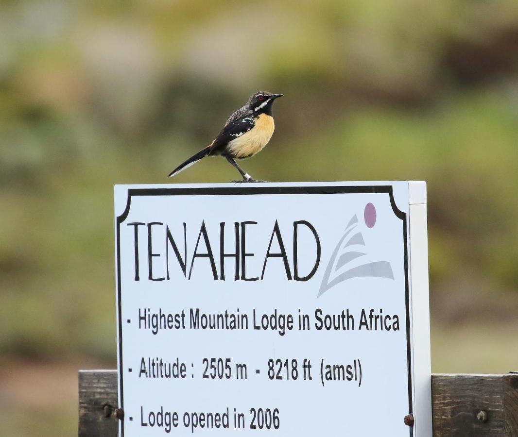 Tenahead Lodge & Spa Rhodes 外观 照片